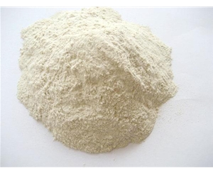 谷朊粉(小麦面筋蛋白)